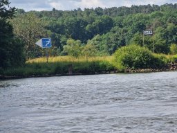 Mainschwimmen Juni 2026
